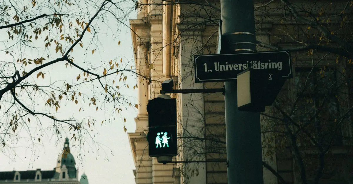 Quels moyens de transport privilégier à Vienne