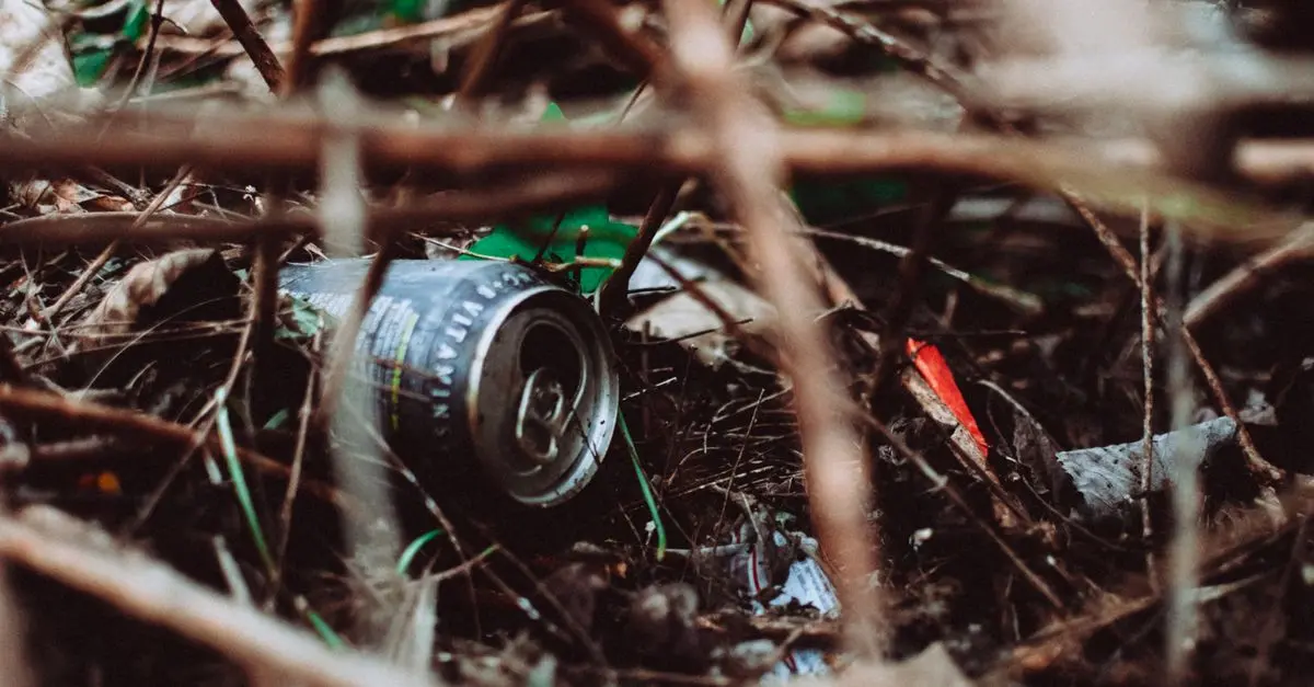 Les impacts du tourisme durable sur les villes